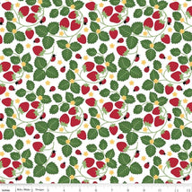 Little Ladybug-Strawberries White C18031-WHITE