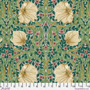 Lodden-SM Pimpernel Citrus Sage PWWM079.CITRUSSAGE