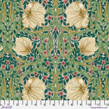 Lodden-SM Pimpernel Citrus Sage PWWM079.CITRUSSAGE