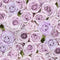 Love Letter FLEUR-CD2370-ROSE