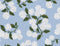 Meadow-Hydrangea Light Blue RP201-LI1