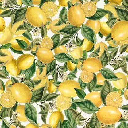 Med Riviera-Sicilian Lemon Citrus DDC11910-CITR-D