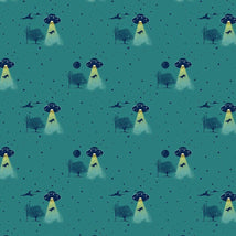 Meowter Space-Beam Me Up Spruce DPJ3680-SPRUCE