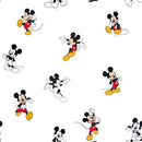 Mickey Traditional 80480-A62028