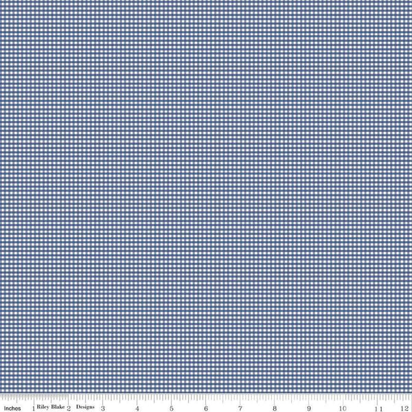Micro Gingham-Denim C455-DENIM