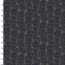 Midnight Prowl-Mysterious Purrs Black 24511-BLK-CTN-D