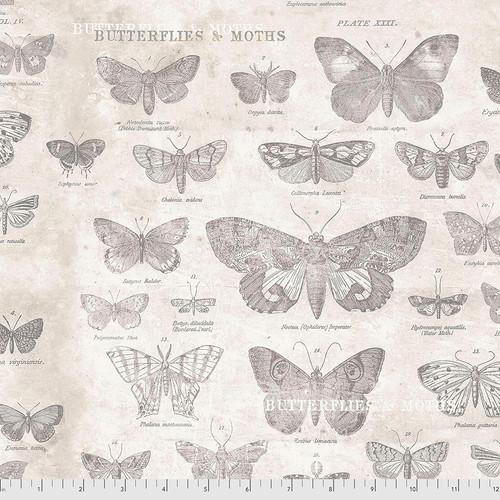 Monochrome-Butterflies Parchment PWTH004.PARCHMENT