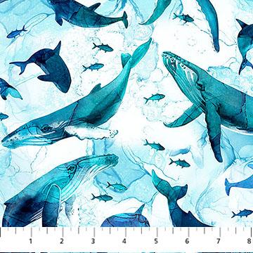 Deep Blue-Whales White/Multi DP28122-10