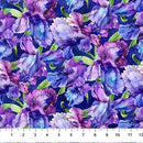 Infatuation-Packed Iris Dark Purple/Multi DP28614-86