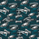 NFL Philadelphia Eagles 70114-D