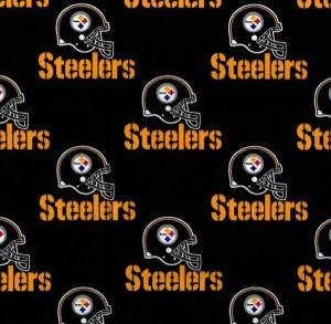 NFL Pittsburgh Steelers A522-D