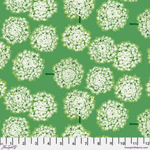 Nation Of Flowers-Queen AnnesLace Green PWMN046.GREEN