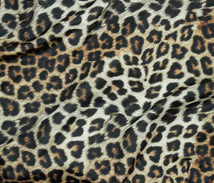 Nautica - Brown Cheetah 45225-01