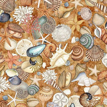 Nauticus-Shells Honey 2600-32054-S