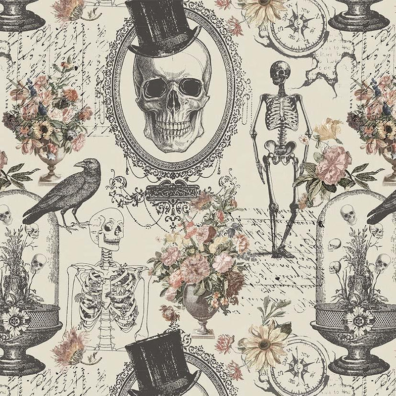 Nevermore Evermore-Cream DCX12275-CREM-D