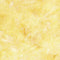 Opulent Oranges-Sunny SUNNY