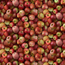 Packed Evercrisp Apples-Red FRUIT-CD2942-RED