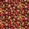Packed Evercrisp Apples-Red FRUIT-CD2942-RED