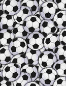 Fitness Fanatic - Packed Soccer Balls GAIL-CD4820-White