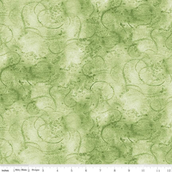 Painter's Watercolor Swirl-Sage C680-SAGE