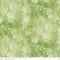 Painter's Watercolor Swirl-Sage C680-SAGE