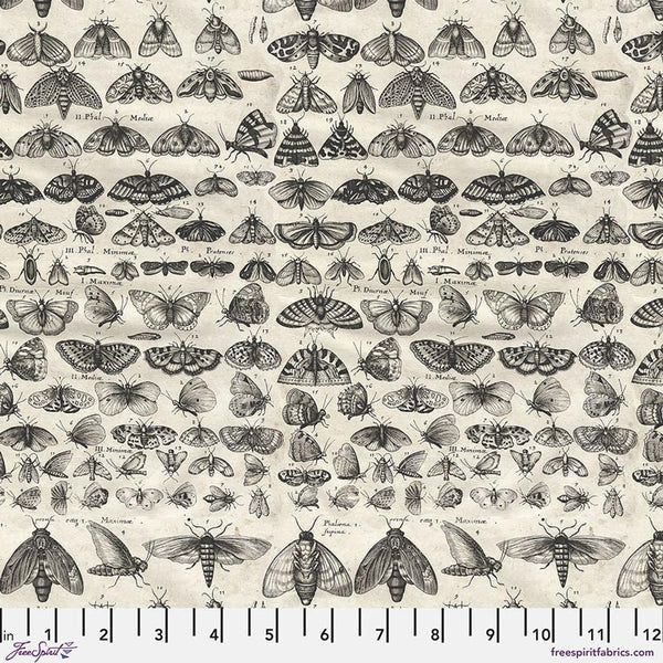 Palette Charcoal-Moths Charcoal PWTH315.CHARCOAL