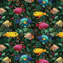 Paradise Found-Tropical Fish Tropical NATURE-CD4559