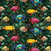 Paradise Found-Tropical Fish Tropical NATURE-CD4559