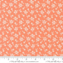 Pastel Prairie-Coral 31788-33