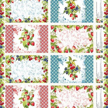 Patchwork Picnic-24" Placemat Panel Multi W105-010-035