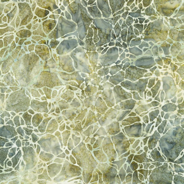 Patterns In Nature-Khaki AMD-22681-214