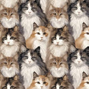 Paw & Whisker-Longhaired Cats 21250602-01