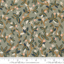 Peachy-Sage 38152-22