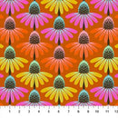 Perennial Borders-Echinacea Rythm Fire AMT136-79V