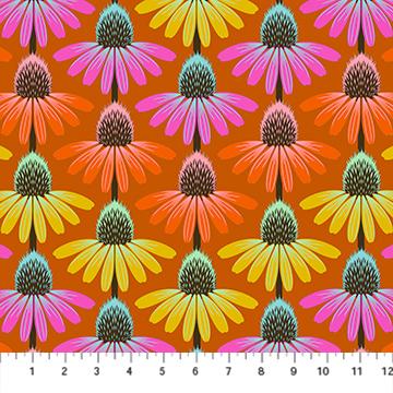 Perennial Borders-Echinacea Rythm Fire AMT136-79V