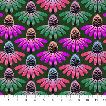 Perennial Borders-Echinacea Rythm Forest AMT136-78L