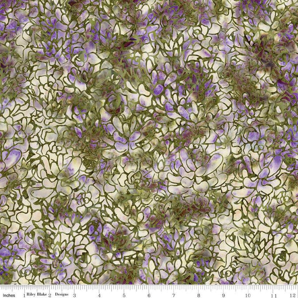 Plant Based-Artichoke BT23320-321