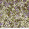 Plant Based-Artichoke BT23320-321