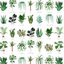 Plant Names DT040425 DX-4445-4C-1