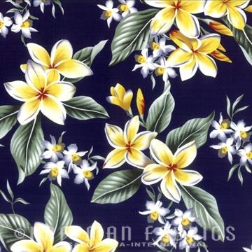 Plumeria-Navy BBLK925-19