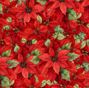 Poinsettia Radiance-Packed Poinsettia Red W110-006-336