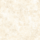 Poinsettia Radiance-Texture Cream W110-013-025