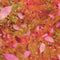 Potpourri-Blossom SRKD-23233-1 SRKD-23233-106