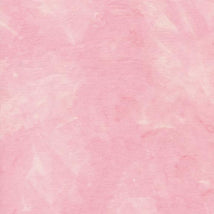 Precious Pinks-Carnation CARNATION