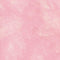 Precious Pinks-Carnation CARNATION
