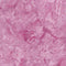 Precious Pinks-Petunia PETUNIA