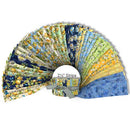 Precut 2.5" Strip Pack-Citrus Bliss STRIP-CTBS