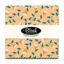 Precut Charm Pack-The Bright Side FB6CPBQ.THEBRIGHTSIDE