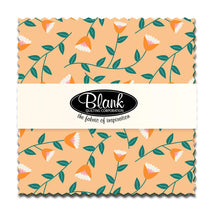 Precut Charm Pack-The Bright Side FB6CPBQ.THEBRIGHTSIDE