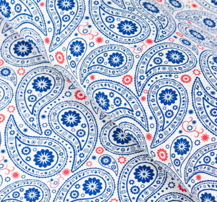 Precut Cork 19"x27"-Paisley Printed Navy/Red COF-625